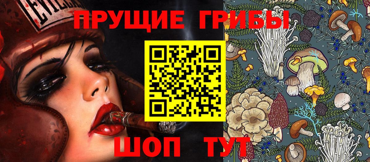 Псилоцибиновые грибы Psilocybine cubensis  Вход с VPN  Сергиев Посад  Галлюциногенные грибы Psilocybe 