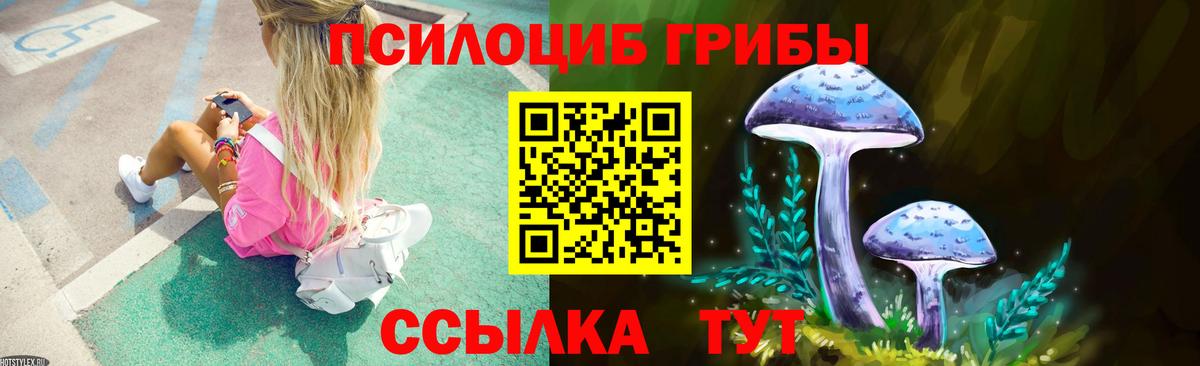 Галлюциногенные грибы Cubensis Сергиев Посад